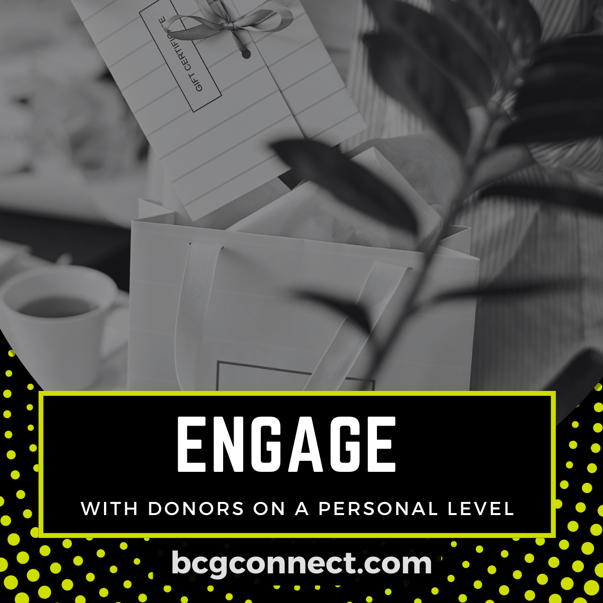 BCG Connect helps you engage with donors on a personal level